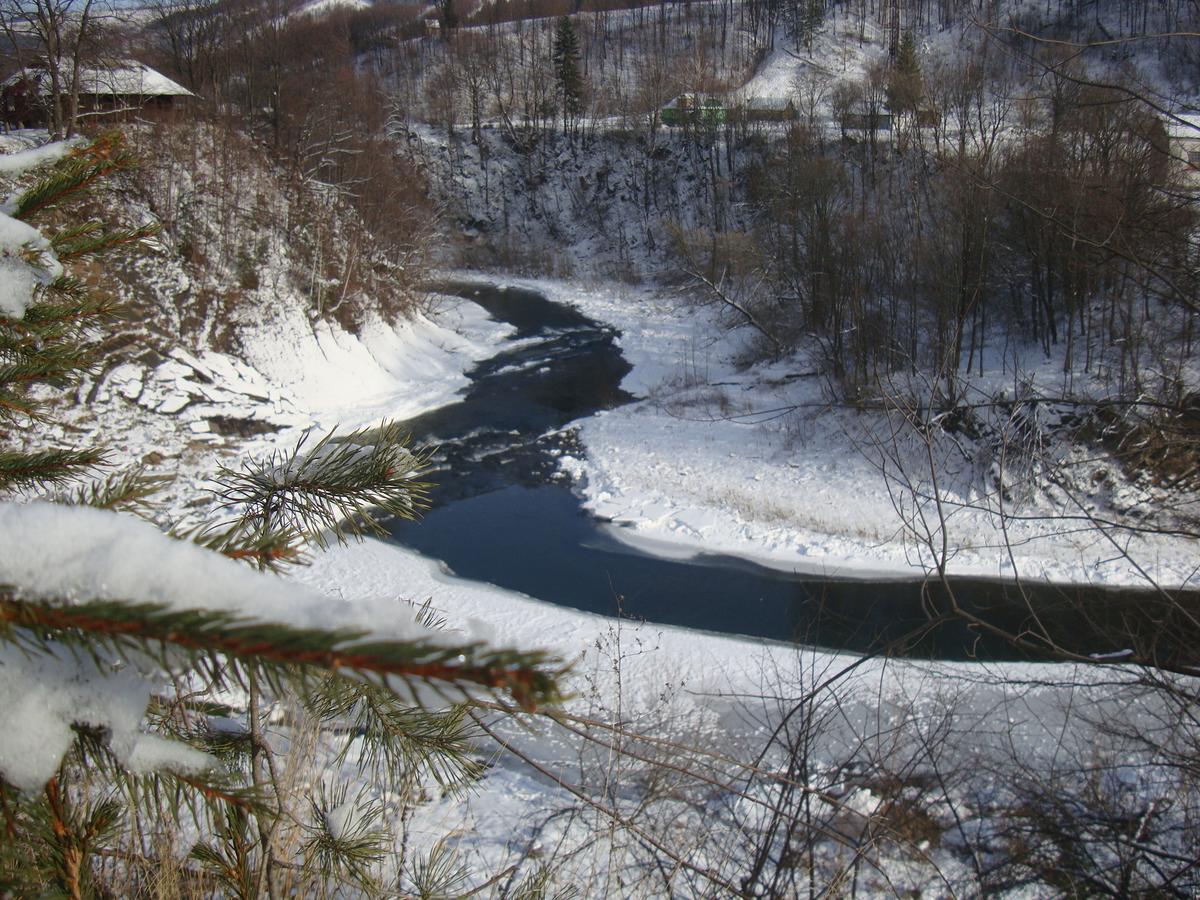 Котедж Гірський Jaremtsje Eksteriør bilde